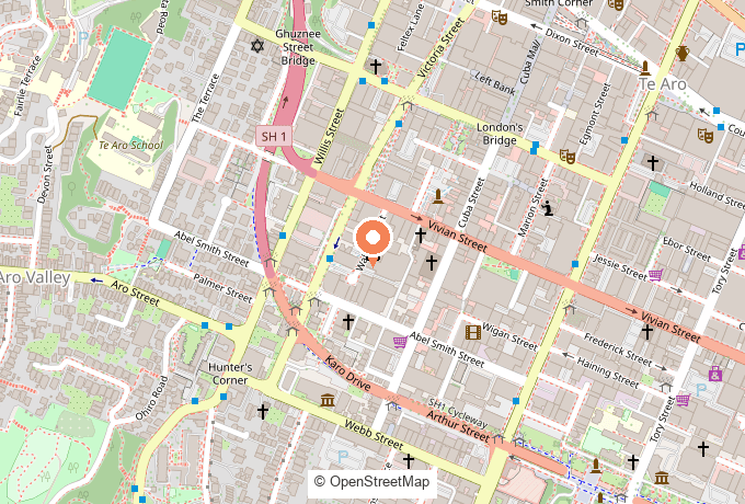 Map showing The Eye Clinic at 11 Walter Street, Te Aro, Wellington